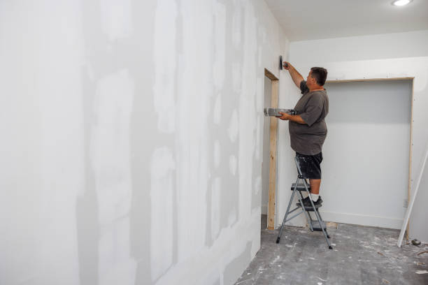 Best Drywall Sanding and Smoothing  in Malone, FL