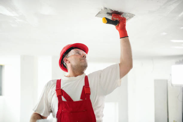 Best Residential Painting  in Malone, FL